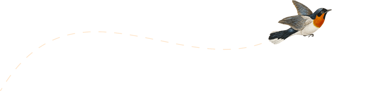 Illustration of a bird flying.